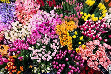 生存MMO《沙丘：觉醒》将设定在原作的平行世界中