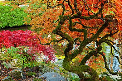 《终结者 : 黑暗命运 - Defiance》宣布跳票 明年2月发售